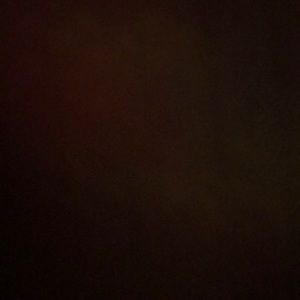 Meet your Posher, Cami